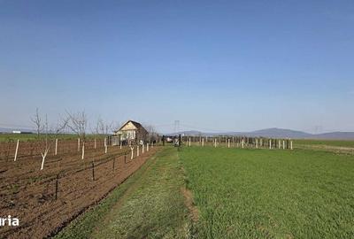 Teren de 15000 mp, în Hărman - 8