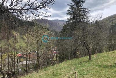 Teren Construcții intravilan de 5041.41015625 mp, în Voineasa - 5