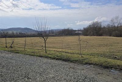 Spațiu comercial, de 1,300 mp, în Șintereag - 1