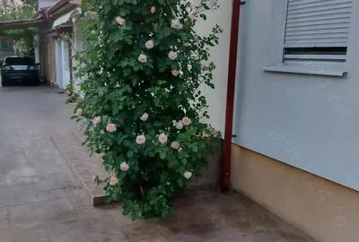 Casă cu Teren 1172 Mp în Corbeanca - 1