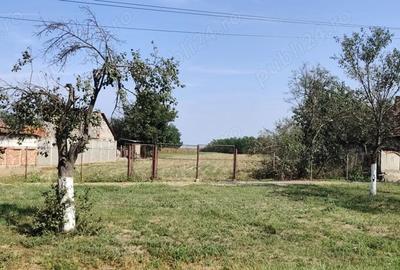 Teren de 2700 mp, în Belinț