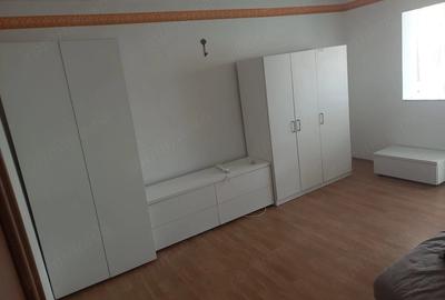 Apartament cu 3 camere decomandat în Drumul Carului