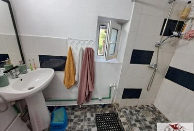 Casă individuală cu 2 camere cu Teren 19549 Mp în Vințu de Jos - 6