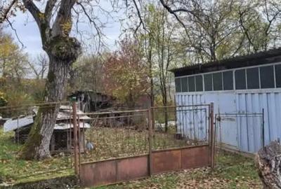 Casă cu 2 camere în Târnăvița - 7