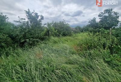 Teren Construcții intravilan de 1438 mp, în Recaș - 5