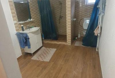 Casă cu Teren 3000 Mp în Dăbâca - 2