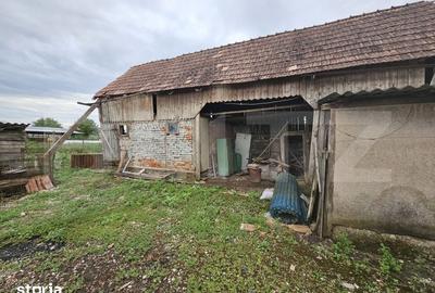Casă cu 3 camere cu Teren 2698 Mp în Cistei
