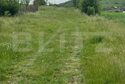 Teren de 2900 mp, în Central - 3