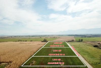 Teren agricol extravilan de 1100 mp, în Codlea - 6