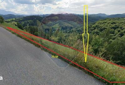 Teren de 2000 mp, în Moieciu - 1