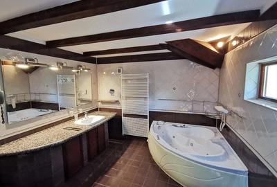 Casă cu 3 camere cu Teren 2600 Mp în Bucium - 1