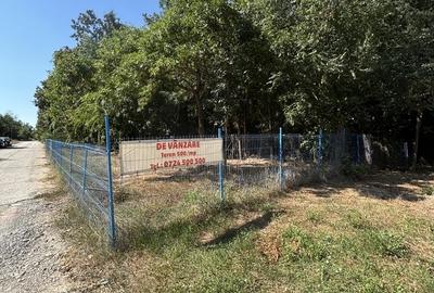 Teren în Ferdinand