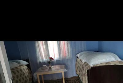 Casă cu 5 camere cu Teren 3313 Mp în Hodiș - 1