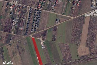 Teren de 5000 mp, în Ciorogârla