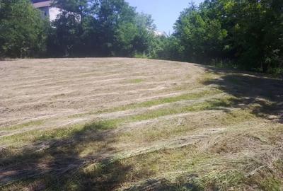 Teren de 4000 mp, în Copăceni - 6