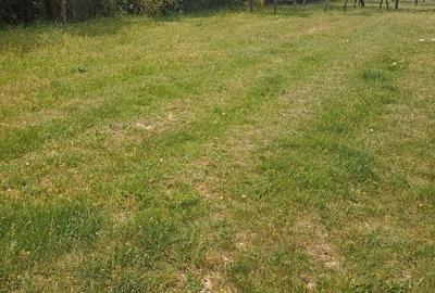 Teren de 1500 mp, în Păulești - 3