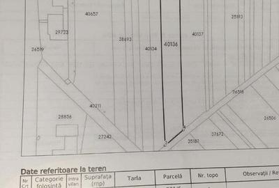 Teren de 4000 mp, în Căldărușeanca - 9