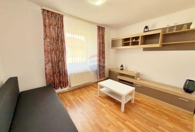 Apartament cu 2 camere semidecomandat, mobilat în Alfa - 1
