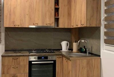 Apartament cu 2 camere semidecomandat, mobilat în Parcul Carol - 3