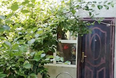Teren de 30000 mp, în Dedulești