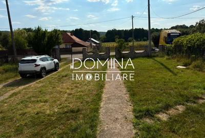 Casă cu Teren 3029 Mp în Săcelu