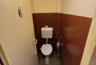 Apartament cu 3 camere decomandat în Săsar
