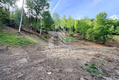 Teren Construcții extravilan de 18000 mp, în Exterior Sud - 23