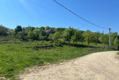 Teren agricol intravilan de 650 mp, în Bucium - 3