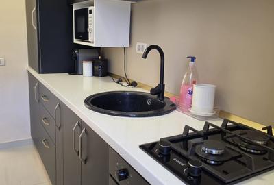 Apartament cu 2 camere decomandat în Roșu