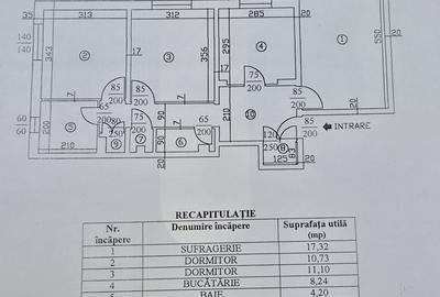 Apartament decomandat în Teiul Doamnei