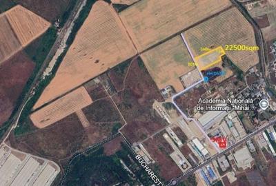 Teren de 11250 mp, în Odăi - 1