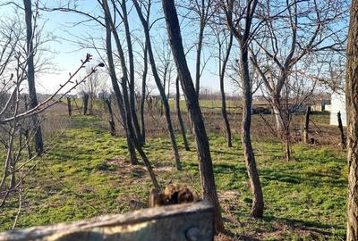 Casă cu 7 camere cu Teren 5500 Mp în Central - 1