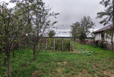 Teren de 3384 mp, în Periș - 6