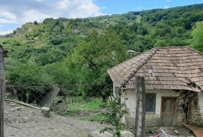 Teren intravilan de 1262 mp, în Bâsca Chiojdului