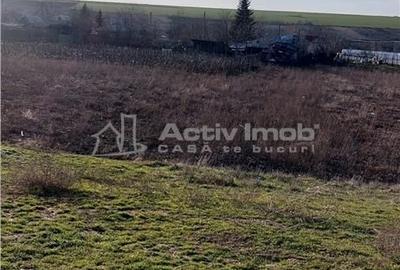 Teren de 1392 mp, în Vânători