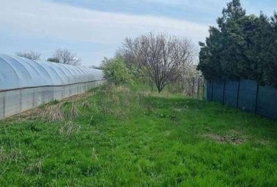Teren de 2496 mp, în Jilava - 5
