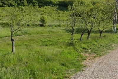 Teren de 20000 mp, în Leordeni - 2
