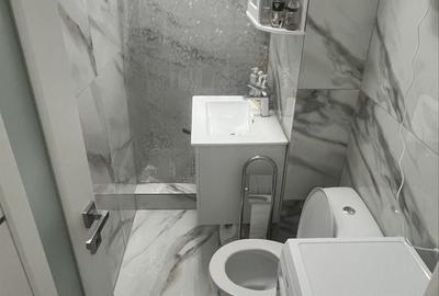 Apartament cu 2 camere semidecomandat în Exterior Vest - 3