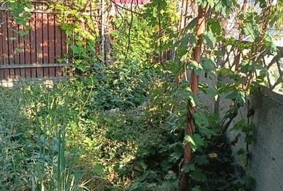 Casă cu 3 camere cu Teren 500 Mp în Central - 2