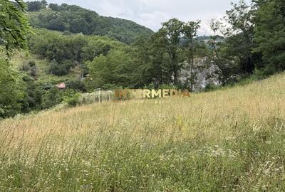 Teren Construcții intravilan de 1257 mp, în Meteș - 4