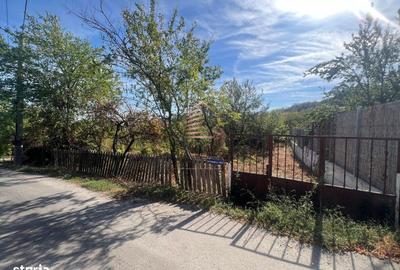 Spațiu comercial, în Podgoria