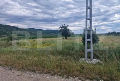 Teren în Livada (Iclod)