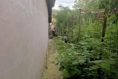 Teren de 246 mp, în Căldăraru - 5