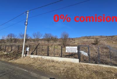 Teren agricol extravilan de 5665 mp, în Iris