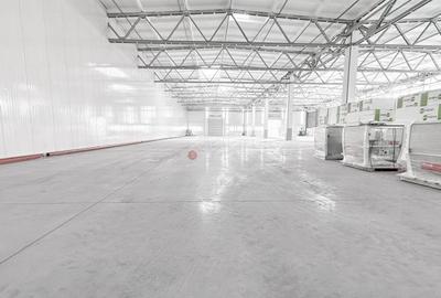 Spațiu industrial, de 2,400 mp, în Astra - 9