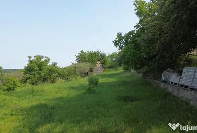 Teren de 4863 mp, în Adâncata - 11