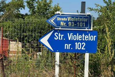 Teren de 1000 mp, în Brănești - 5