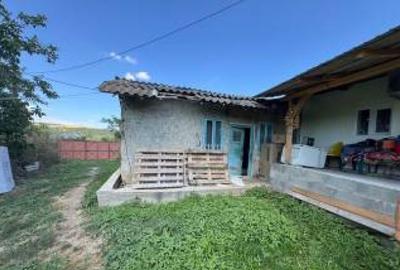 Casă individuală cu 3 camere cu Teren 1994 Mp în Negulești - 4