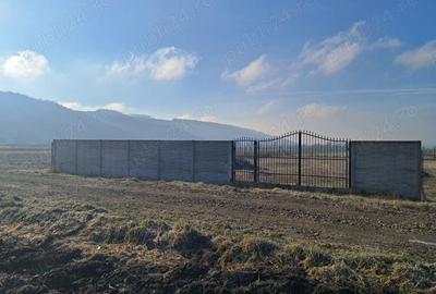 Teren de 8700 mp, în Livada (Iclod) - 8