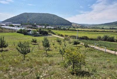 Teren de 12300 mp, în Crainimăt - 1